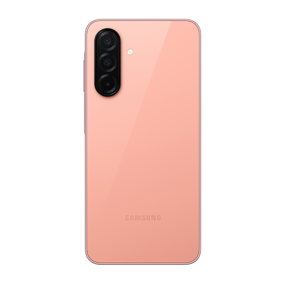 Samsung A26 5G (SM-A266B)
