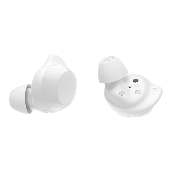 Buds Core (SM-R410)